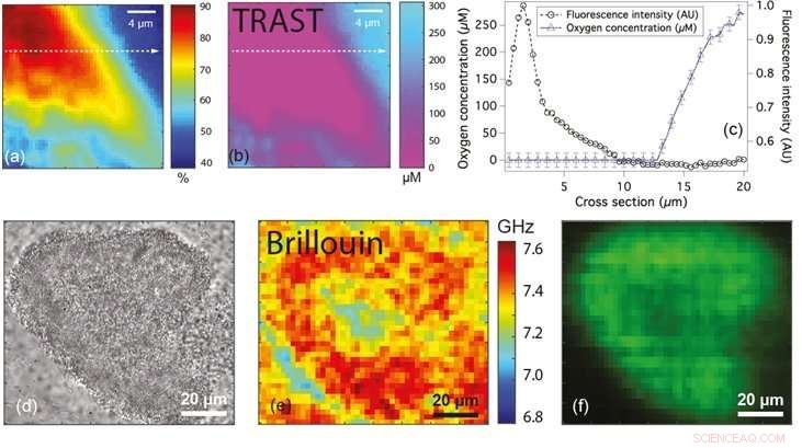 Advanced Tools for Accurate Characterization of Biofilm Physical Properties