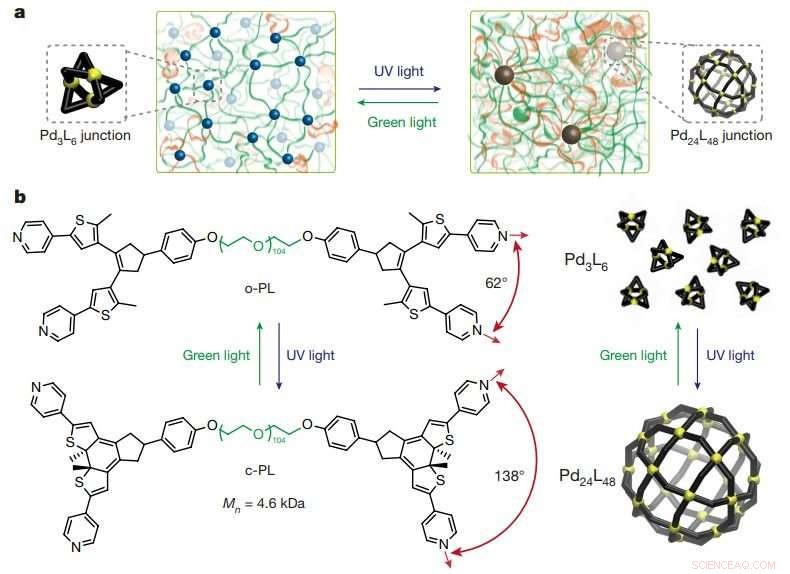 Light‑Responsive Polymers Toggle Between Rigid and Soft States