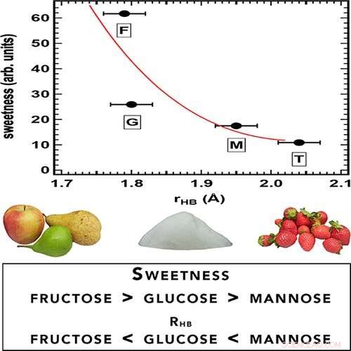 How Water Influences Sweetness Perception