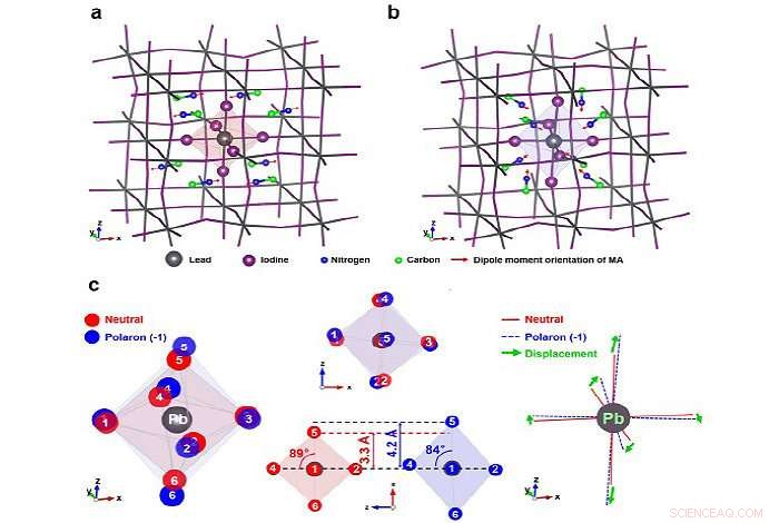 Unveiling Excited-State Dynamics in Perovskite Materials