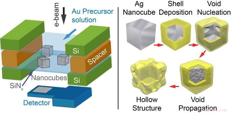 Real-Time LC-TEM Imaging of Nanocube Transformation in Gold Ion Solutions