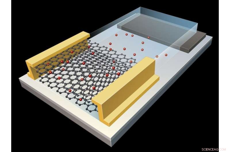 Engineers Create Graphene-Based Artificial Synapse Mimicking Human Brain Function