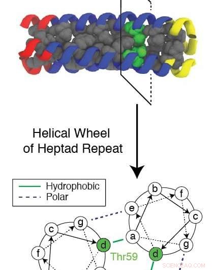 New Targeting Strategy for Influenza Virus Revealed by Advanced Computer Modeling