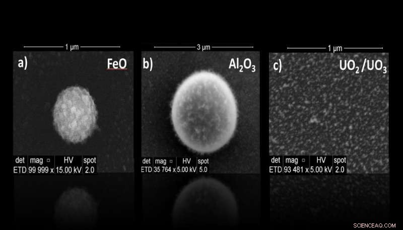 Unveiling the Chemical Dynamics of Nuclear Detonations