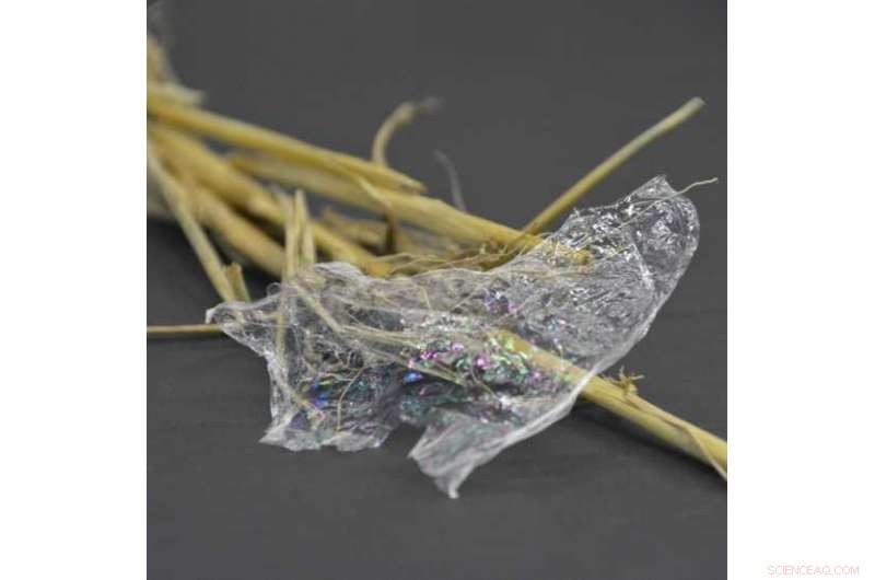 PEF Bioplastic: A Sustainable Alternative to PET