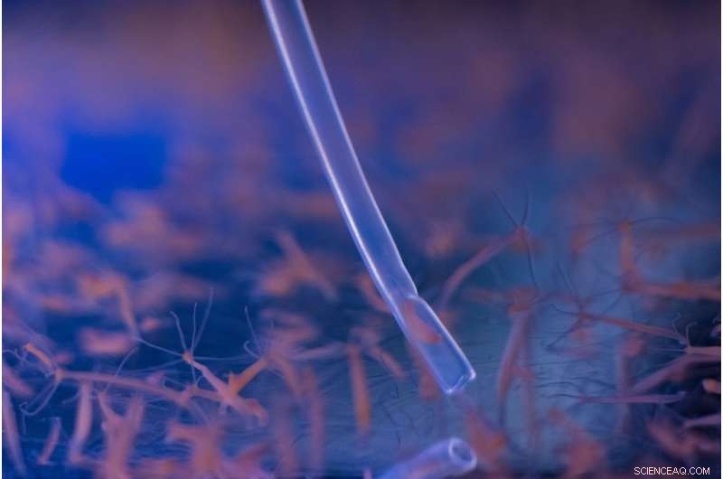 Soft Hydra Models Ready for Advanced Circuit Analysis