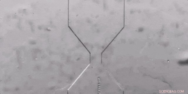 Soft Hydra Models Ready for Advanced Circuit Analysis