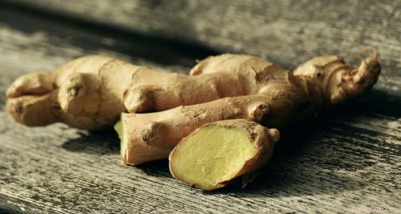 How Ginger’s 6‑Gingerol Naturally Reduces Bad Breath