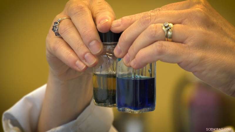 Dickinson College Research Reveals Affordable Natural Methods to Clean Water Pollution