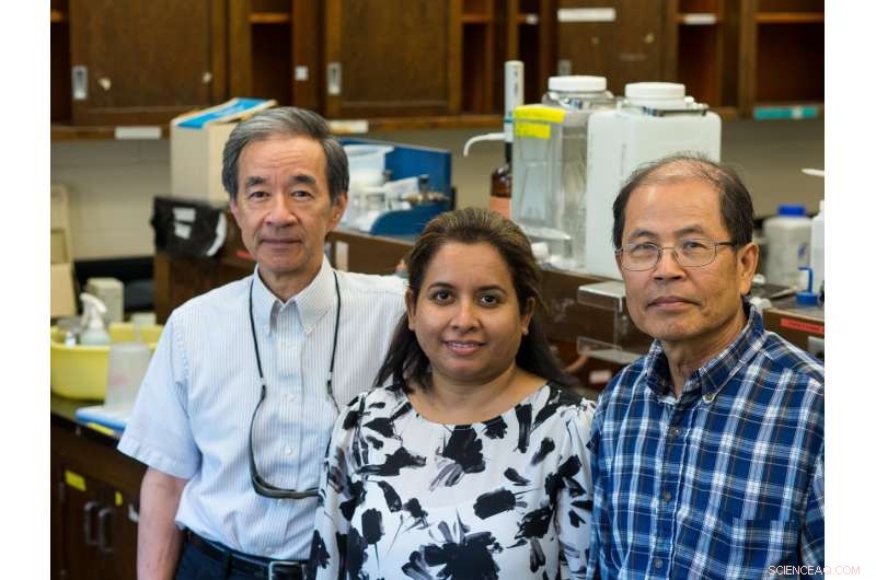 Engineers Break Down Fatbergs: New Technique Eliminates Oil, Grease, and Fats