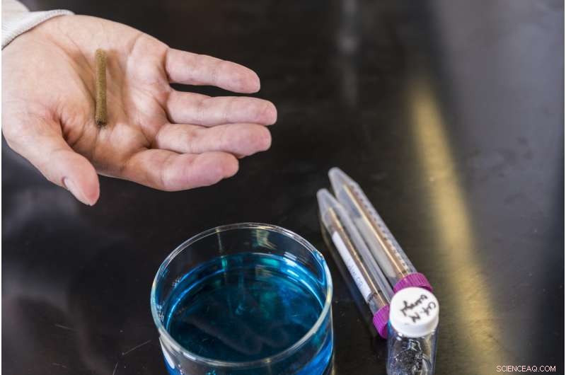 New Sponge‑Like Material Turns Toxic Water Dyes Colorless in Seconds