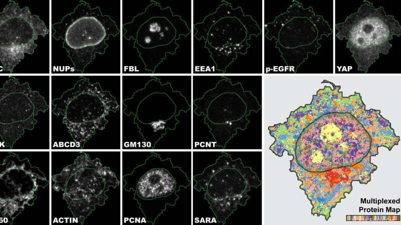 Revolutionary Imaging Technique Enhances Cell Sample Analysis