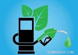 Advanced Catalysts Driving Efficient Biofuel Production