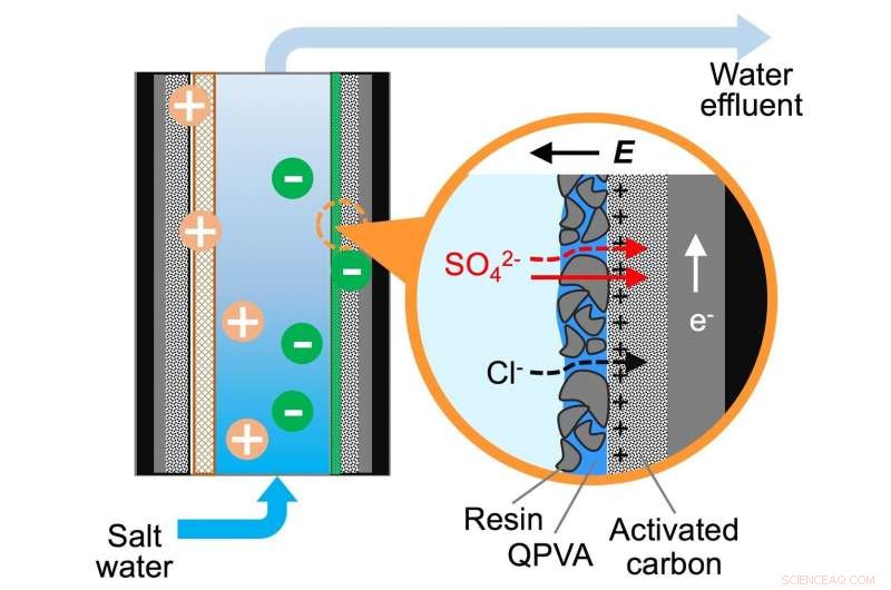 Rice University Engineers Develop Targeted Coating to Remove Contaminants from Water and Industrial Streams