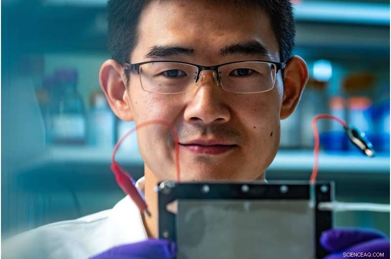 Rice University Engineers Develop Targeted Coating to Remove Contaminants from Water and Industrial Streams