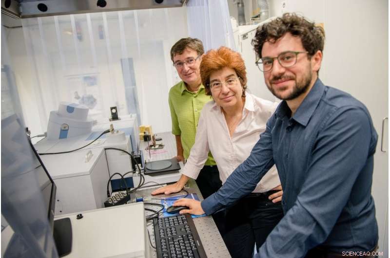 The Hydration Shell: How Ions Attract Water Molecules