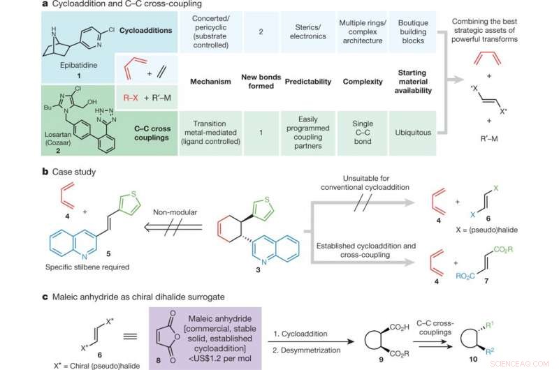 Integrating Cycloaddition and C–C Cross‑Coupling for Advanced Skeleton Construction