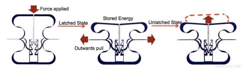 Scientists Design Energy‑Storage Material Mimicking an Eagle s Grip