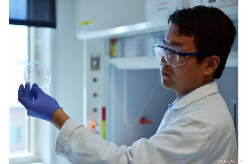 Revolutionary Super‑Insulating Gel Promises Energy‑Saving Windows and Space‑Age Innovation