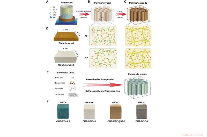 Innovative Team Develops Bio‑Inspired Artificial Woods from Traditional Resins