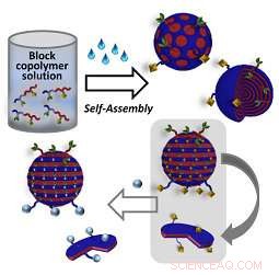 Engineered Virus‑Like Polymer Nanoparticles: Simple Production and Precise Functionalization