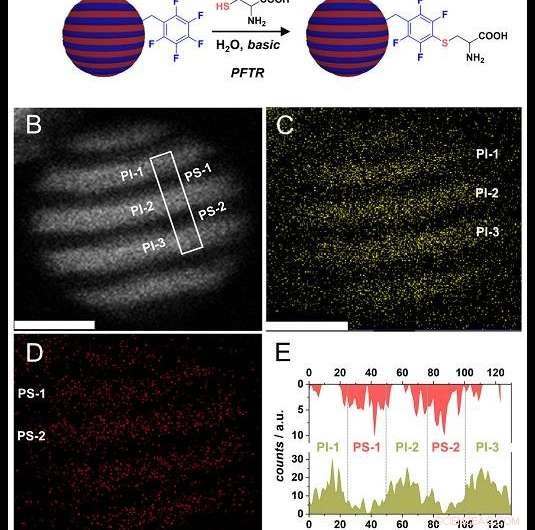 Engineered Virus‑Like Polymer Nanoparticles: Simple Production and Precise Functionalization