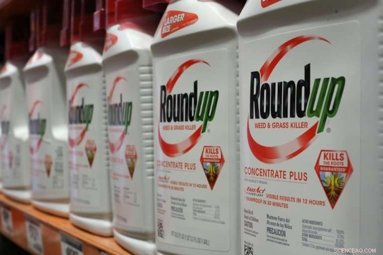 Monsanto: US Giant at the Center of Controversial Chemical Debates