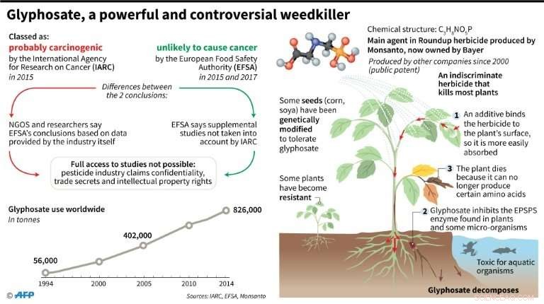 Monsanto: US Giant at the Center of Controversial Chemical Debates