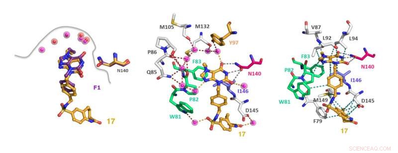 Scientists Pioneer Efficient Strategy for Optimizing Therapeutic Compounds