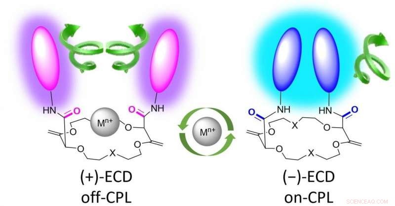 Geneva Scientists Unveil Novel Molecular Switch for Metal Detection in the Environment
