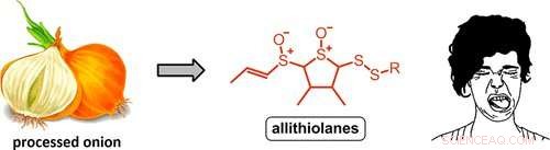 Why Onions Develop an Unpleasant Off-Taste: The Science Behind It