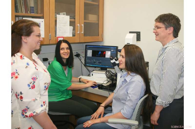 Scientists Pioneer Controlled Carbon Monoxide Release for Targeted Therapy