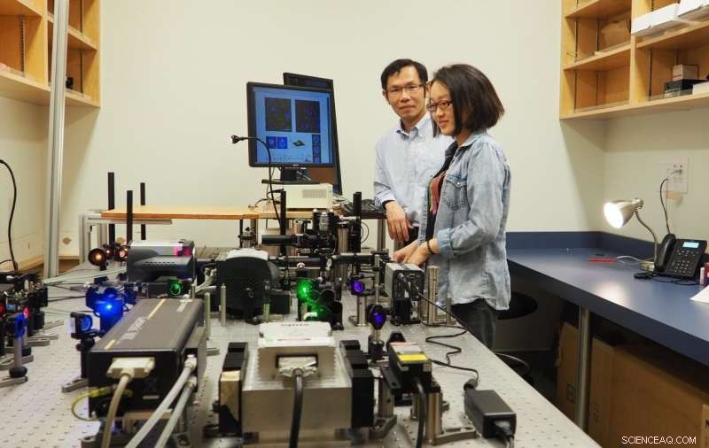 New Super‑Resolution Microscopy Deciphers Nipah Virus Structure