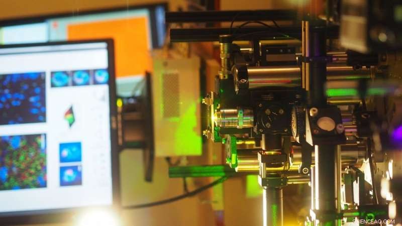 New Super‑Resolution Microscopy Deciphers Nipah Virus Structure