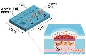 Reconstructing Skin on a Chip: Cutting-Edge Microfluidic In Vitro Models