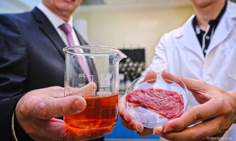 Scientists Unveil Powerful Plant-Based Preservative That Beats Synthetic Counterparts