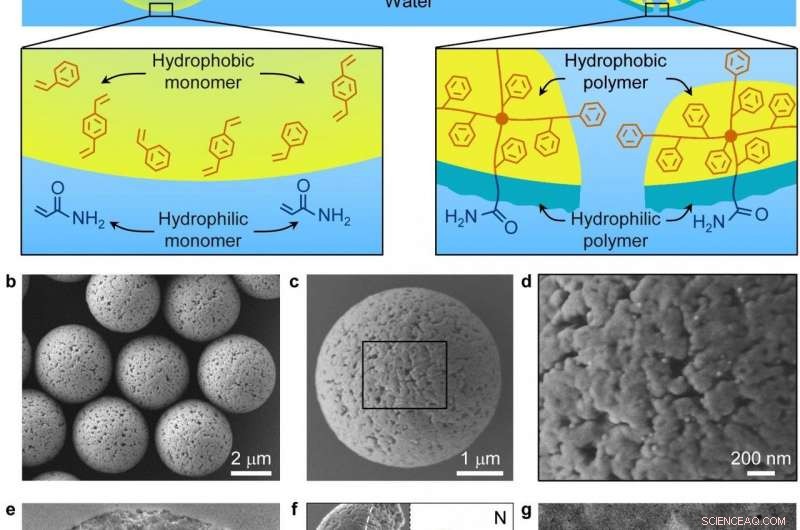 High‑Performance Glycopeptide Separation Using Interfacially Polymerized Particles