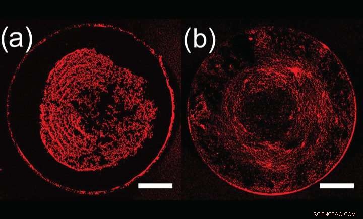 Revolutionary Manufacturing Method Promises to Resolve Printing Technology Challenges