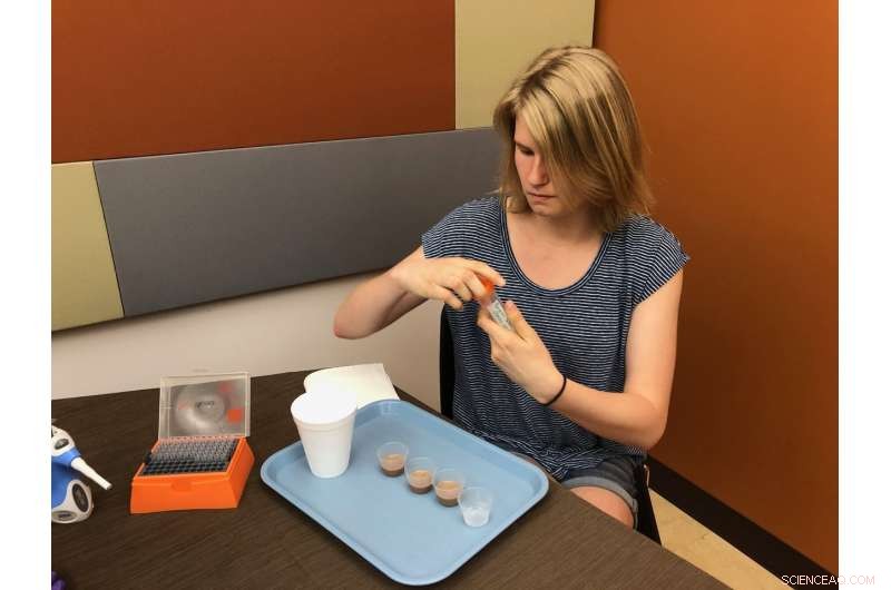 How Saliva Shapes Taste Preferences: New Insights into Flavor Perception