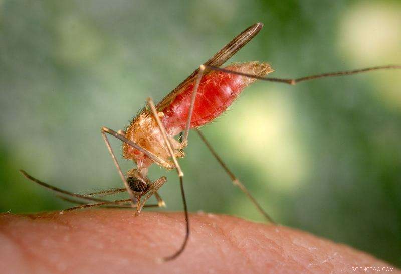 Next‑Gen Insect Repellents: Innovative Solutions Against Mosquito‑Borne Diseases