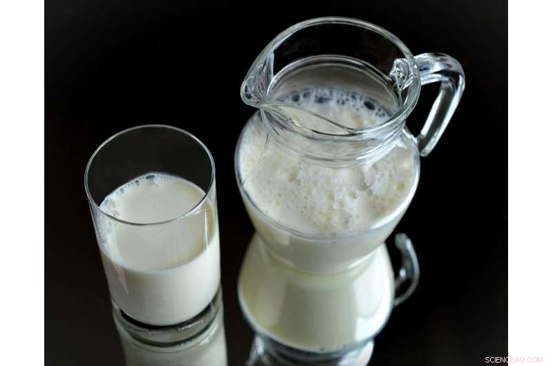 Innovative Methods Reduce Sugar in Dairy, Promising Healthier Choices