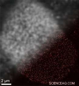 Super‑Resolution Microscopy: Pushing Imaging Boundaries with SOMAmer‑Based DNA‑PAINT