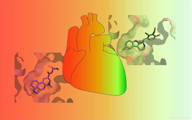 New Insights into 5‑HT2B Receptor Unlock Safer, More Effective Treatments