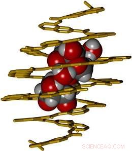 Advanced Carbohydrate Capture: Helical Molecule Binds Disaccharides with Precision