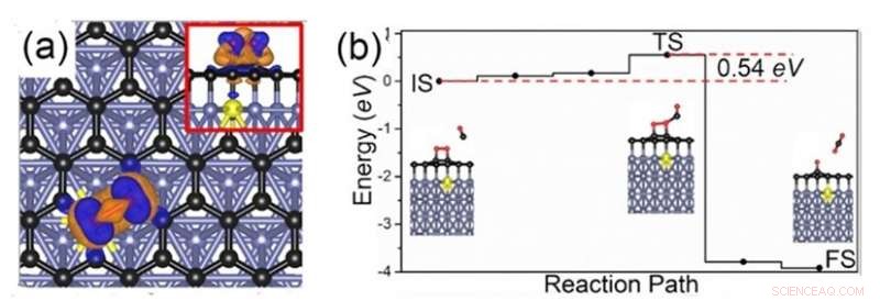 Ultra-High-Performance Graphene Catalysts: Advanced Efficiency and Reliability