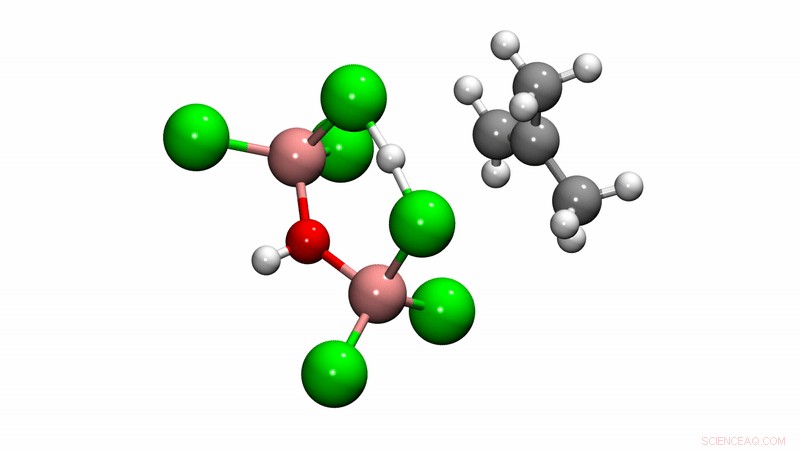 Computational Catalysts Reveal the Molecular Secrets Behind a Widely Used Polymer