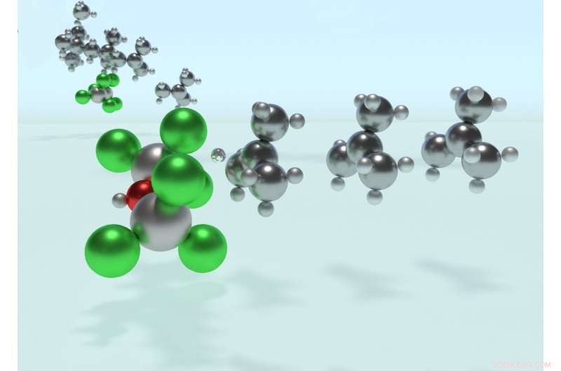Computational Catalysts Reveal the Molecular Secrets Behind a Widely Used Polymer
