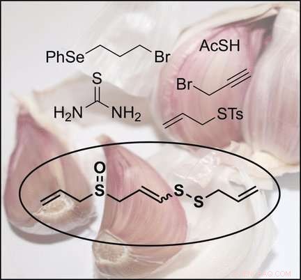 Efficient Short-Pathway Synthesis of Ajoene, a Key Bioactive Compound from Garlic Oil