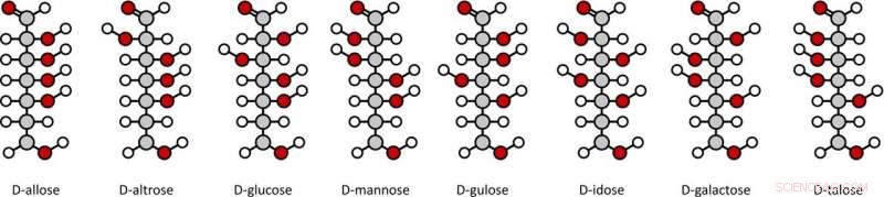 Decoding Sugars: How the Glycome Is Revolutionizing Health and Medicine