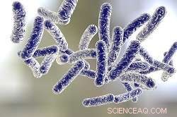 Rapid, Reliable Microbial Contamination Testing for Food & Water Safety